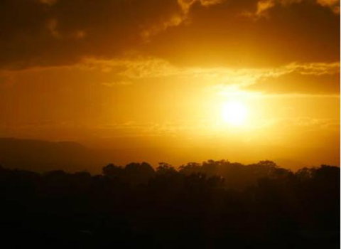 Mariner Shores Resort - Rental Cars 3