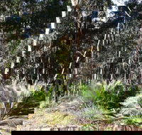 The Bower at Broulee - Rental Cars