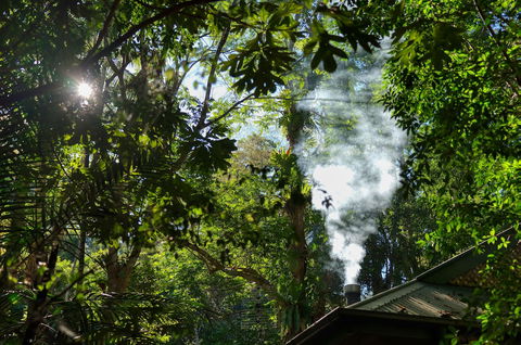 Narrows Escape Rainforest Retreat - Rental Cars 5