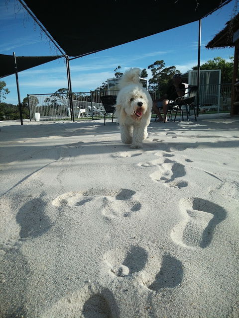 Clare Valley Motel - Rental Cars 5