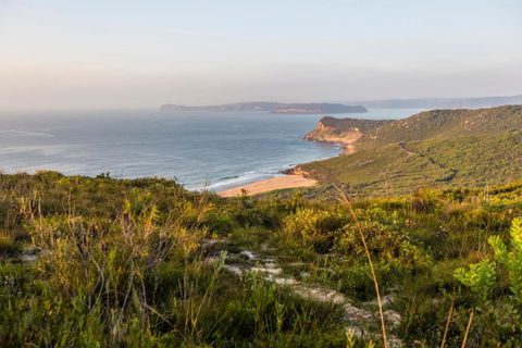 Pretty Beach House - Rental Cars 4
