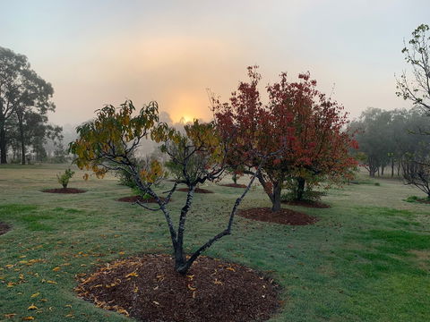 Woolshed Hill Estate - Rental Cars 6