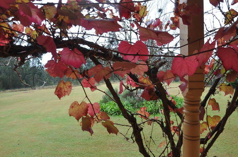 Woolshed Hill Estate - Rental Cars 1