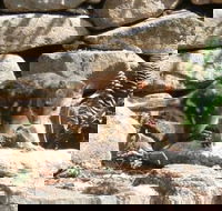Jenolan Caves House - Rental Cars