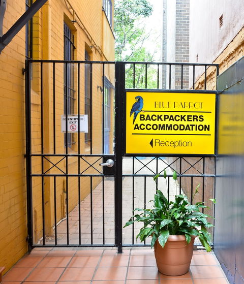 Blue Parrot Backpackers - Rental Cars 2