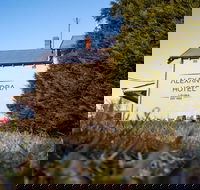 Alexandra Hotel - Rental Cars