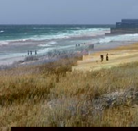 Scarborough  Absolutely Beachfront - Rental Cars
