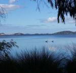 Lilacs Waterfront Villas  Cottages - Rental Cars