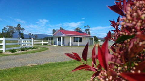 Little Sunnyside Accommodation - Rental Cars 1