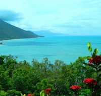 Aquatica Palm Cove - Rental Cars