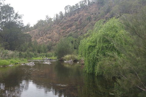 Karamea Homestead - Rental Cars 1