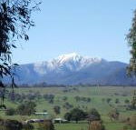 Off Mountain Accommodation - Rental Cars