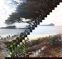 Beachfront Shoal Bay - Rental Cars