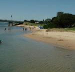 Black Dolphin Waterfront Apartment - Rental Cars