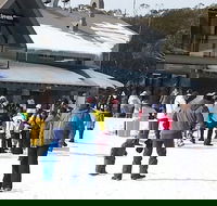 Discobulous 6 - Rental Cars