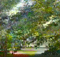 Banyan Tree Resort - Rental Cars