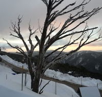 Snowflake 12 - Rental Cars