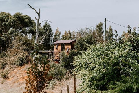 Belmont Homestead - Rental Cars 3