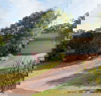 Wildflowers at Fingal Bay - Rental Cars