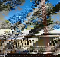 Ashling - Rental Cars