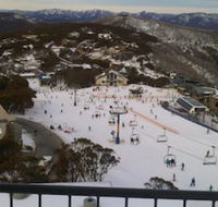 Twin Towers 502A - Rental Cars