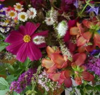 Ahvenbloem Park Winganna - Rental Cars