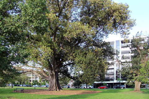 Adelaide Central Apartment - 3BR, 2Bath & Carpark - Rental Cars 1