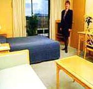 The Gemini Hotel - Rental Cars