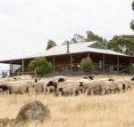 Gilgraves Vineyard Farmstay - Rental Cars