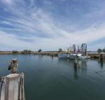 Bayside Beauty - Rental Cars