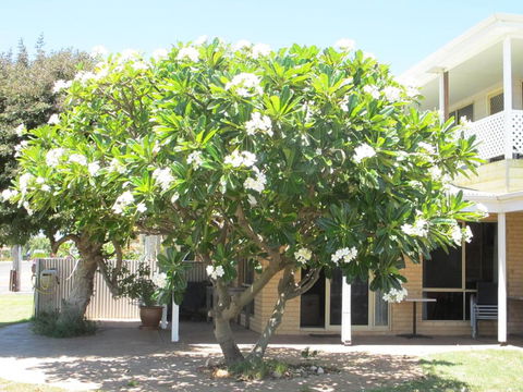 Kalbarri Riverfront Unit - Rental Cars 3