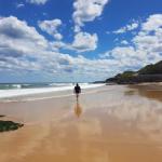 Arena Luxury Beachfront Apartment - Rental Cars 0