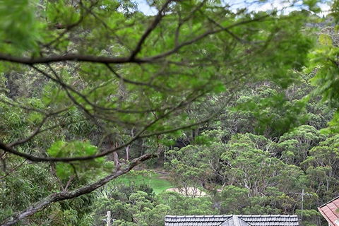 ALAN1 Leafy Tranquil Home - Rental Cars 3
