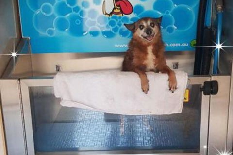 Apex RiverBeach Holiday Park - Rental Cars 4