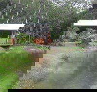 Rainforest Ranch - Rental Cars