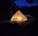 Glamping at Zeehan Bush Camp - Rental Cars