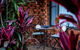 A Little Getaway - thumb 5