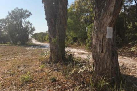 COONARR BEACH ( BUNDABERG )CAMPING - Rental Cars 0