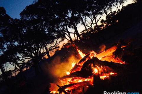 COONARR BEACH ( BUNDABERG )CAMPING - Rental Cars 3