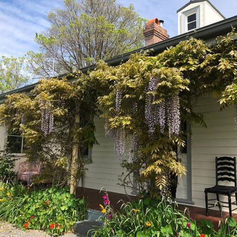 Clarence Cottage - Rental Cars 5