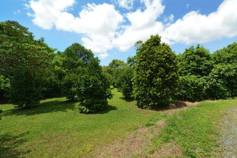 Tea Tree Cottage - Rental Cars 5