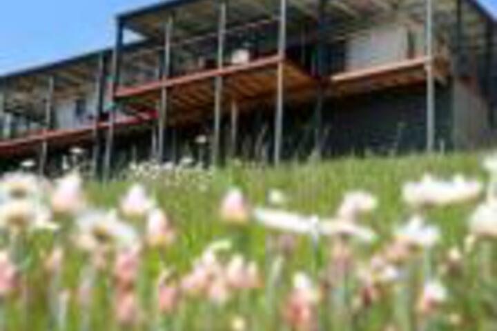 Abels Bay TAS Rental Cars
