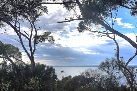 Wanderers Rest Of Kangaroo Island - Rental Cars 7