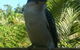 Tropic Oasis Holiday Villas - thumb 0