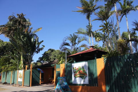 JJs Backpackers Hostel - Rental Cars 1