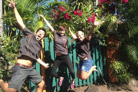 JJs Backpackers Hostel - Rental Cars 6