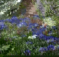 Yallambee - Rental Cars