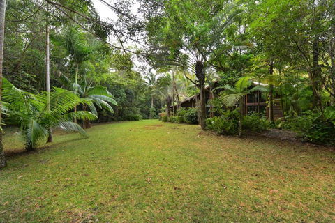 Wait A While Daintree - Rental Cars 1