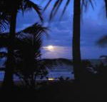 Sejala Beach Huts - Rental Cars