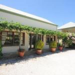 Daisy Cottage - Rental Cars 1